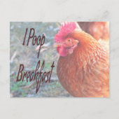 Chicken I poop Breakfast Funny Humor Briefkaart (Voorkant)