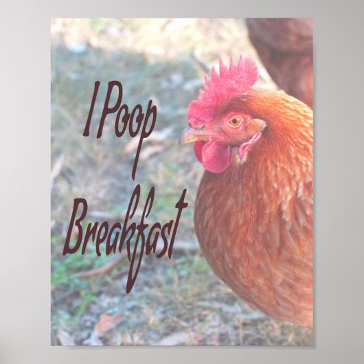 Chicken I poop Breakfast Funny Humor Poster (Voorkant)