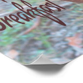 Chicken I poop Breakfast Funny Humor Poster (Hoek)