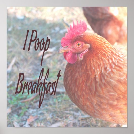 Chicken I poop Breakfast Funny Humor Poster (Voorkant)