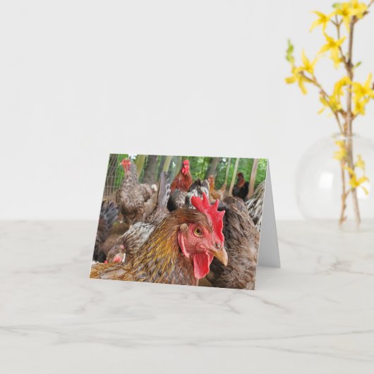 Chicken Kaart (Gele Bloem)