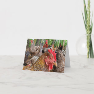 Chicken Kaart