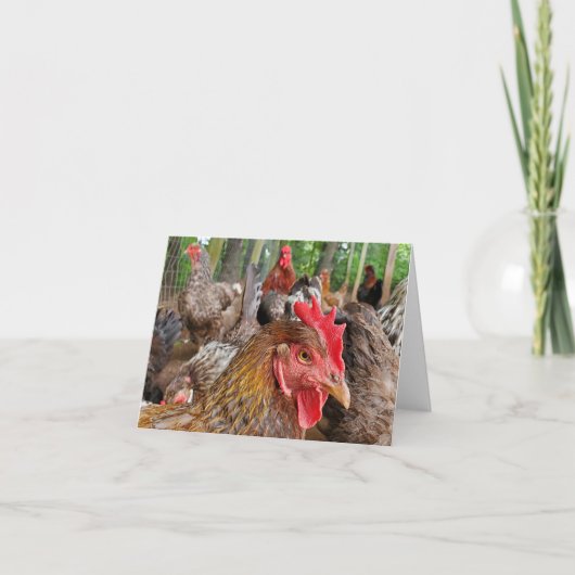 Chicken Kaart (Voorkant)