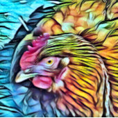 CHICKEN KERAMISCHE KNOP