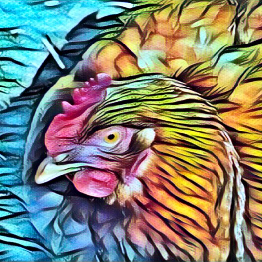 CHICKEN KERAMISCHE KNOP