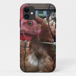 Chicken kijkt naar jou iPhone 11 hoesje