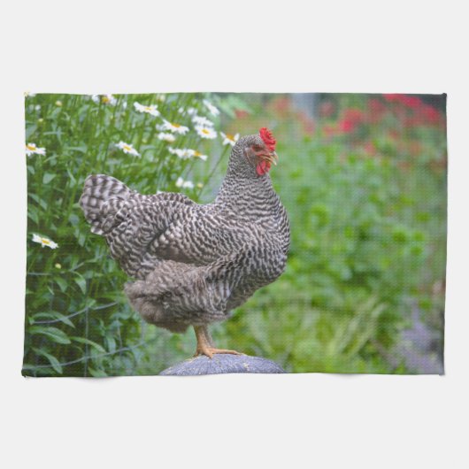 Chicken Kitchen Towel Theedoek (Horizontaal)