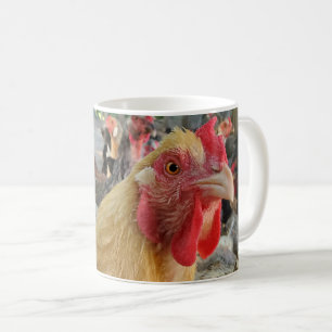 Chicken Koffiemok