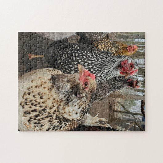 Chicken Legpuzzel (Horizontaal)