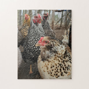 Chicken Legpuzzel