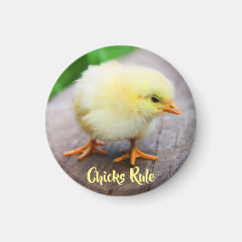 Chicken Lover Round Magnet