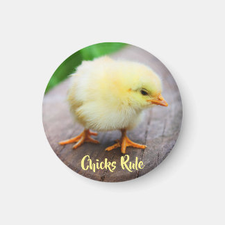 Chicken Lover Round Magnet