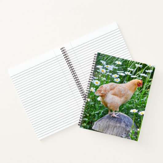 Chicken Loves Daisies Notitieboek (Binnen)