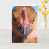 Chicken Macro Photography Portret Kaart (Gele Bloem)