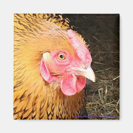 Chicken Magnet #1 Golden Laced Wyandotte