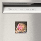 Chicken Magnet #2 Golden Laced Wyandotte (Insitu (Vaatwasser))