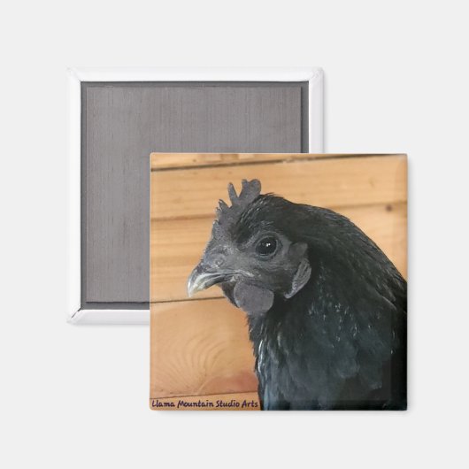 Chicken Magnet #3 Southern Rambler (Voorkant / Achterkant)