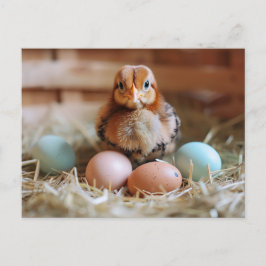Chicken Next to Easter Nest with Colorful Eggs Briefkaart