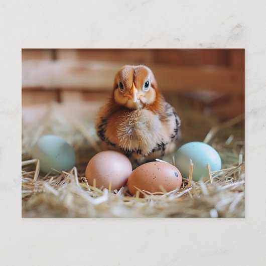Chicken Next to Easter Nest with Colorful Eggs Briefkaart (Voorkant)