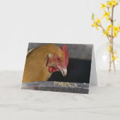 Chicken Note Kaart (Gele Bloem)