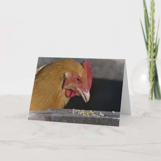Chicken Note Kaart (Voorkant)