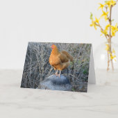Chicken Notecard Kaart (Gele Bloem)