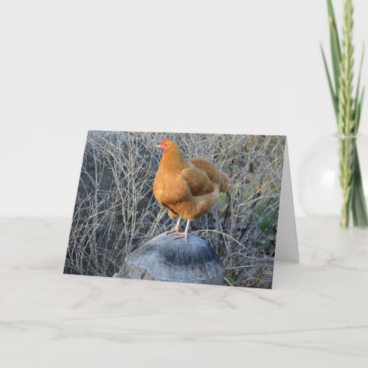 Chicken Notecard Kaart (Voorkant)