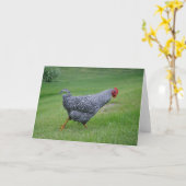 Chicken Notecard Kaart (Gele Bloem)