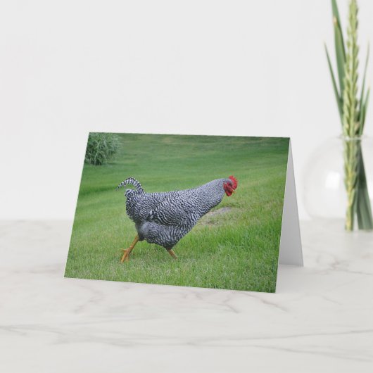 Chicken Notecard Kaart (Voorkant)