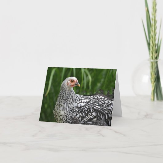 Chicken Notecard Kaart (Voorkant)