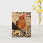 Chicken On The Move With The Side-Eye Kaart (Gele Bloem)