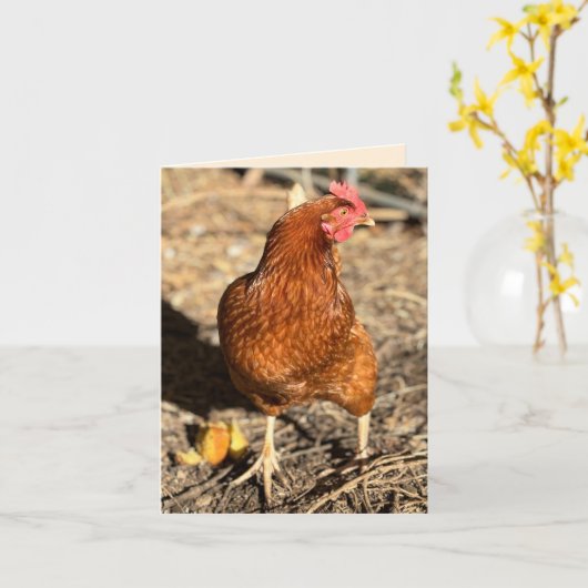 Chicken On The Move With The Side-Eye Kaart (Gele Bloem)