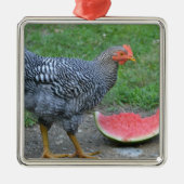 Chicken Ornament (Voorkant)