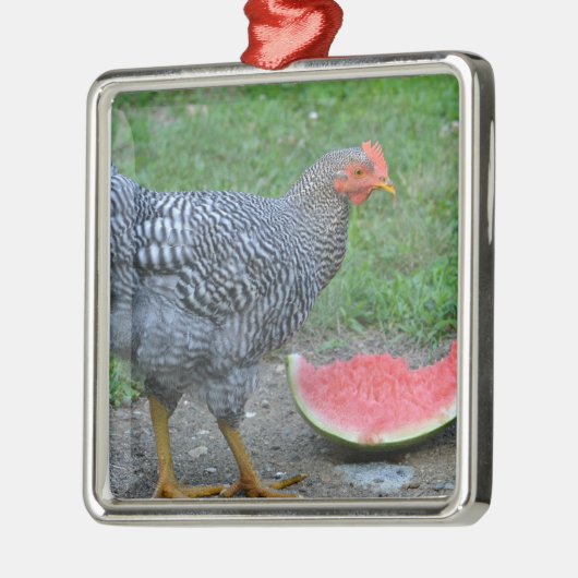 Chicken Ornament (Links)