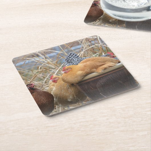 Chicken Party Onderzetter (Schuin)