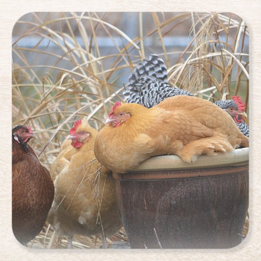 Chicken Party Onderzetter (Voorkant)