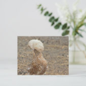 Chicken Photo Briefkaart (Staand voorkant)