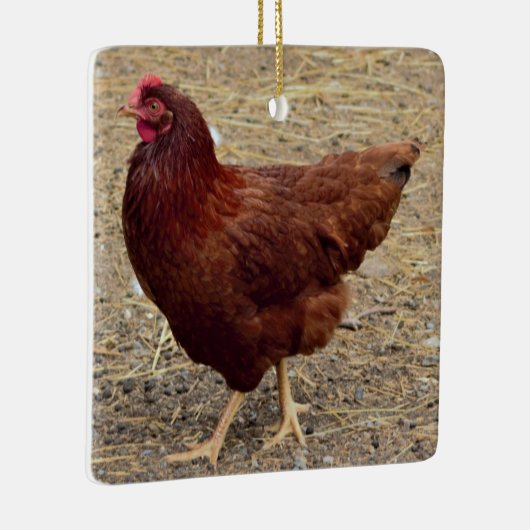 Chicken Photo Ornament (Rechts)