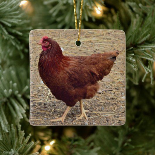 Chicken Photo Ornament (Boom)