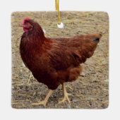 Chicken Photo Ornament (Voorkant)