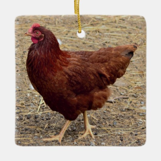 Chicken Photo Ornament (Voorkant)