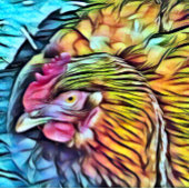 CHICKEN PICKLEBALL PADDLE