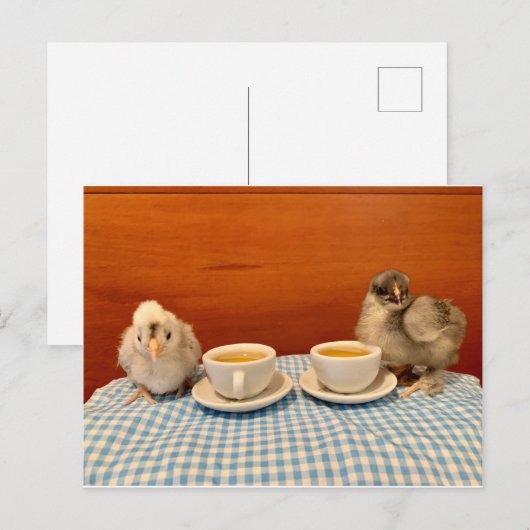 Chicken Picnic Briefkaart (Voorkant / Achterkant)