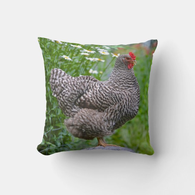 Chicken Pillow Kussen (Voorkant)