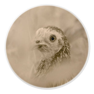 Chicken Portrait Keramische Knop
