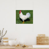 Chicken Poster (Keuken)