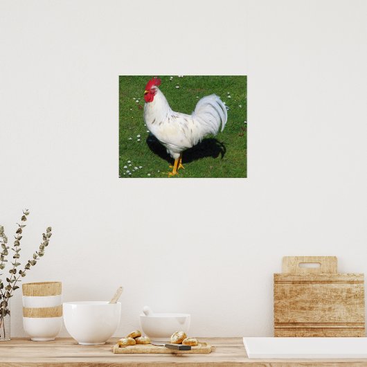 Chicken Poster (Keuken)