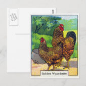  Chicken Print Briefkaart (Voorkant / Achterkant)