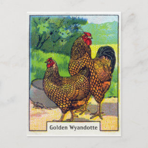  Chicken Print Briefkaart