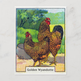 Chicken Print Briefkaart